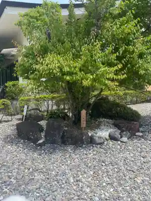秋葉山本宮 秋葉神社 上社(静岡県)