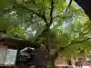 愛知県高浜市春日神社の{uncategorized: "未分類", other: "その他", undefined: "問題あり", building: "その他建物", grave: "お墓", sacred_gate: "鳥居", guardian: "狛犬", statue: "像", buddha: "仏像", history: "歴史", nature: "自然", garden: "庭園", animal: "動物", pagoda: "塔", temizu: "手水舎", mountain_gate: "山門・神門", sanctuary: "本殿・本堂", subordinate: "末社・摂社", art: "芸術", scenery: "景色", jizo: "地蔵", ema: "絵馬", goshuin: "御朱印", omikuji: "おみくじ", items: "授与品その他", amulet: "お守り", goshuincho: "御朱印帳", eats: "食事", festival: "お祭り", votive_dance: "神楽", shichigosan: "七五三参", wedding: "結婚式", experience: "体験その他", initially: "初詣", around: "周辺", anti_infection: "感染症対策"}