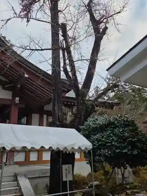 多田神社(兵庫県)