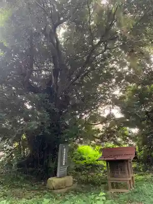 貴舟神社(千葉県)