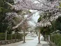 廣田神社の{uncategorized: "未分類", other: "その他", undefined: "問題あり", building: "その他建物", grave: "お墓", sacred_gate: "鳥居", guardian: "狛犬", statue: "像", buddha: "仏像", history: "歴史", nature: "自然", garden: "庭園", animal: "動物", pagoda: "塔", temizu: "手水舎", mountain_gate: "山門・神門", sanctuary: "本殿・本堂", subordinate: "末社・摂社", art: "芸術", scenery: "景色", jizo: "地蔵", ema: "絵馬", goshuin: "御朱印", omikuji: "おみくじ", items: "授与品その他", amulet: "お守り", goshuincho: "御朱印帳", eats: "食事", festival: "お祭り", votive_dance: "神楽", shichigosan: "七五三参", wedding: "結婚式", experience: "体験その他", initially: "初詣", around: "周辺", anti_infection: "感染症対策"}
