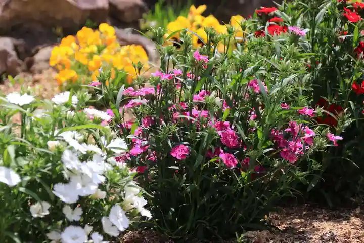 大鏑神社の庭園