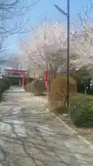 見川稲荷神社の自然