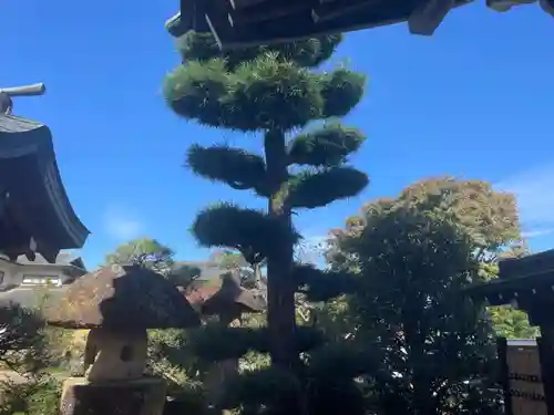 龍像寺(神奈川県)