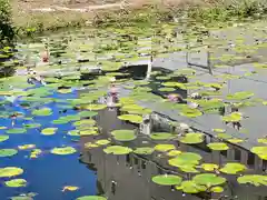 善知鳥神社(青森県)