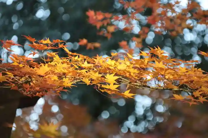 國祖神社の自然