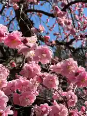 源九郎稲荷神社(奈良県)