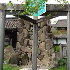 四季桜の寺 妙乗院(愛知県)