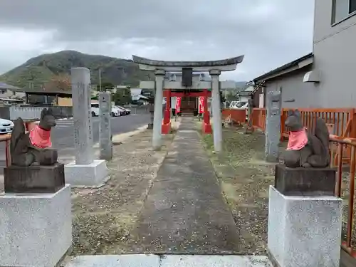 普賢願生稲荷神社の狛犬