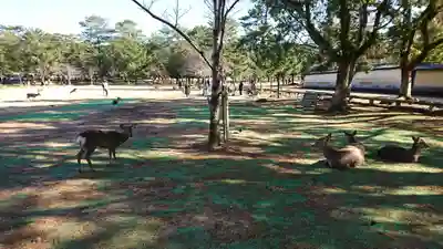 興福寺(奈良県)