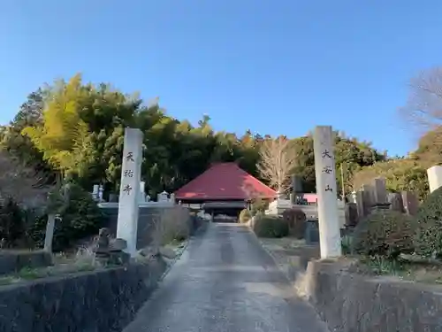 天祐寺の山門