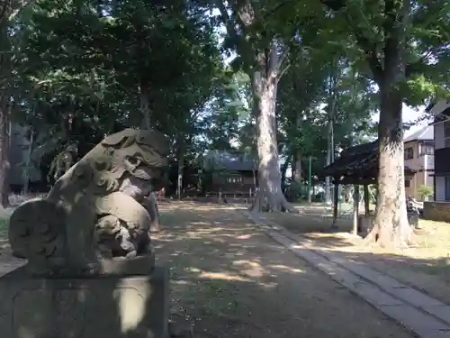 八王子神社の狛犬