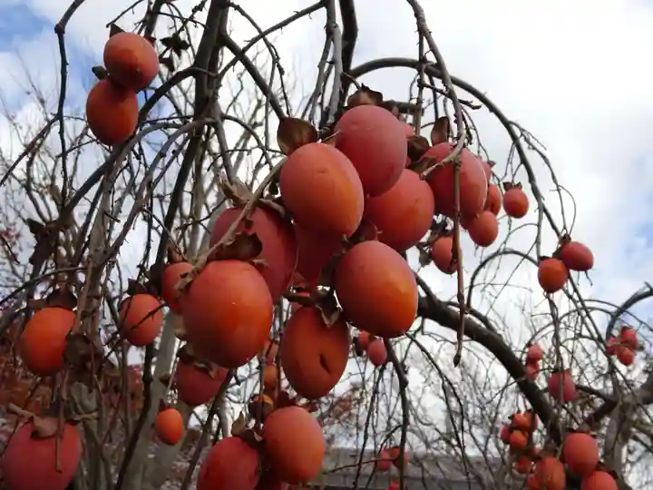 常泉寺(神奈川県)