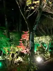 尊永寺の建物その他