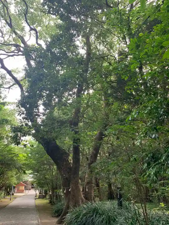 江田神社の自然