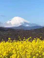 吾妻神社の景色