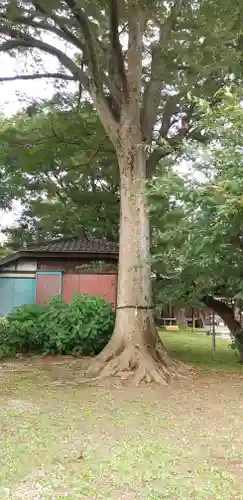 姫宮神社の自然