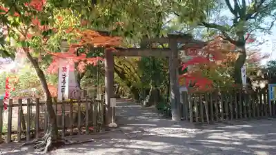 山内神社の鳥居