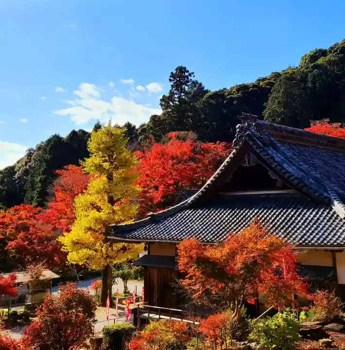 普門寺(切り絵御朱印発祥の寺)(愛知県)