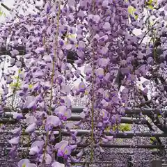 大澤山　龍藏寺の庭園