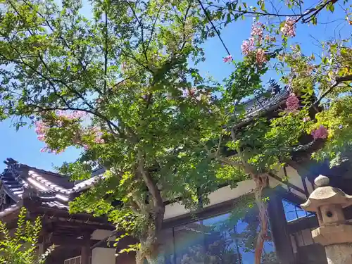 忌宮神社(山口県)