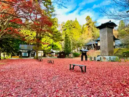 土津神社｜こどもと出世の神さまの景色