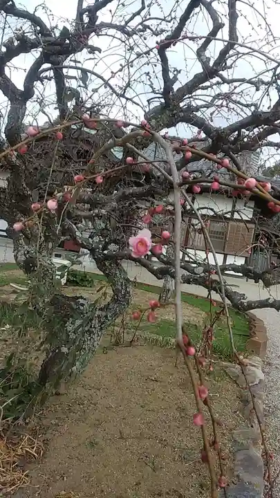 比佐豆知神社(三重県)