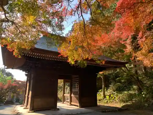 普門寺(切り絵御朱印発祥の寺)の山門・神門