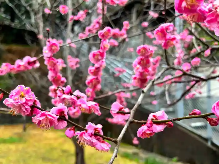 水神神社(長崎県)