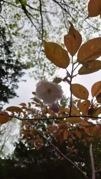 相馬神社(北海道)