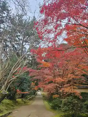 唐招提寺(奈良県)