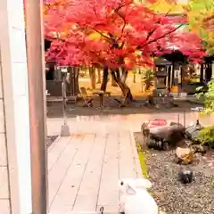 彌彦神社　(伊夜日子神社)(北海道)