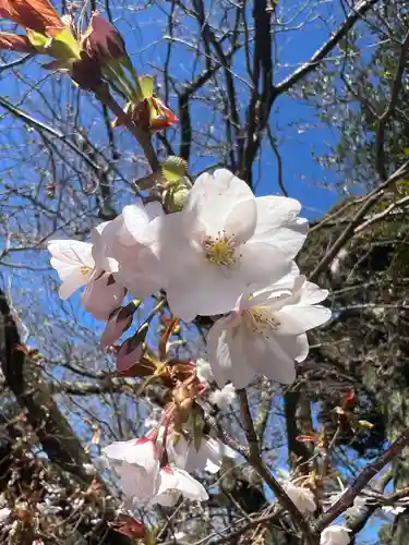 五井山 妙善院(愛知県)