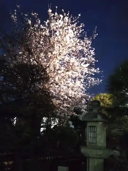 龍華寺(神奈川県)