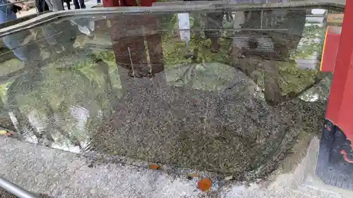 太宰府天満宮の手水舎