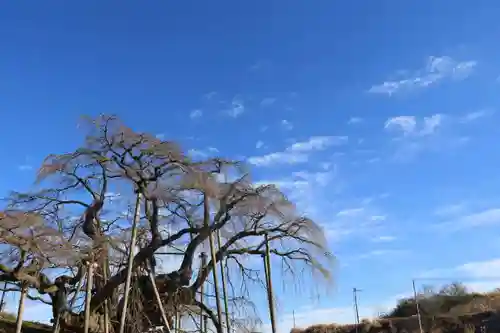 瀧桜神明宮の景色