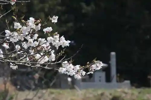 国宝 大法寺(長野県)