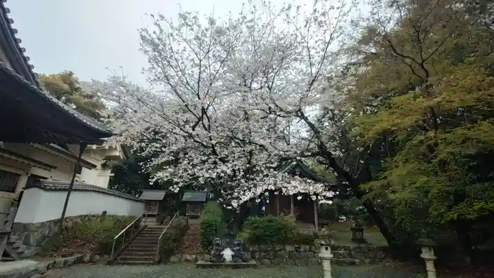 八幡社(愛知県)