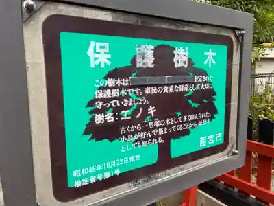 稲荷神社(兵庫県)