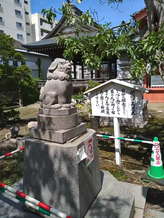 湊稲荷神社の狛犬