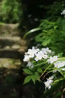 桑実寺(滋賀県)