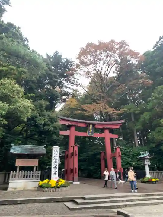 彌彦神社(新潟県)