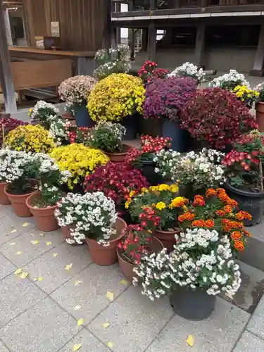 平塚八幡宮(神奈川県)