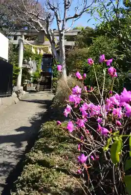 横浜御嶽神社(神奈川県)