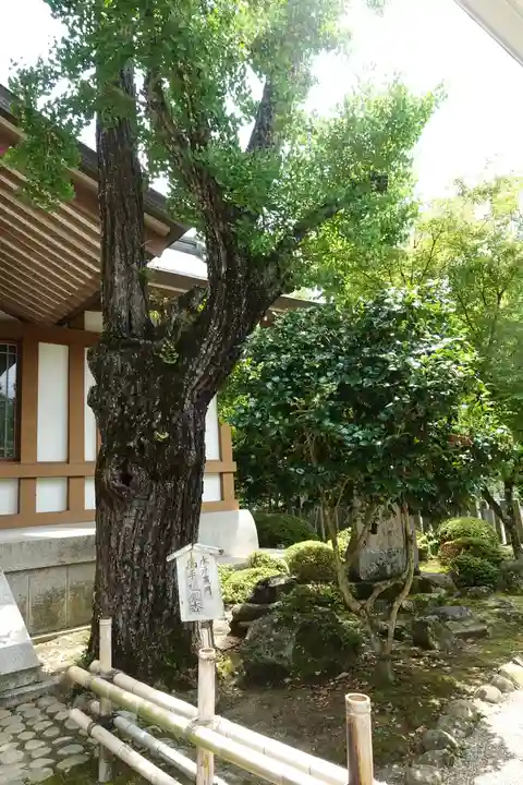多田神社の庭園