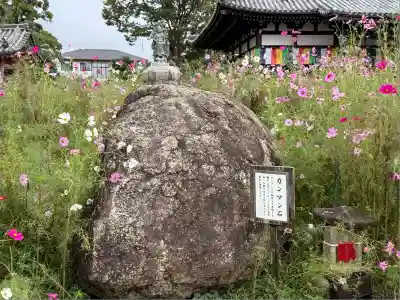 般若寺 ❁コスモス寺❁(奈良県)