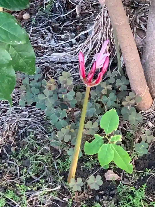 横浜 西方寺(神奈川県)