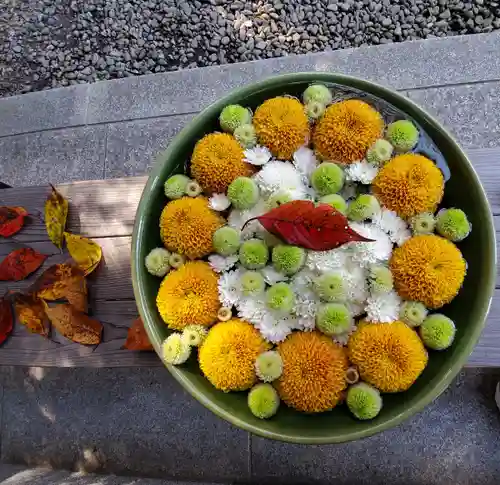 滑川神社 - 仕事と子どもの守り神の手水舎