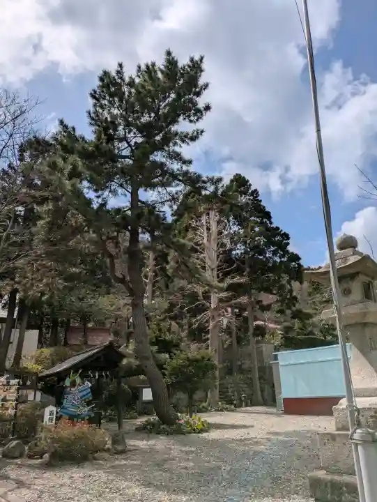 船魂神社の{uncategorized: "未分類", other: "その他", undefined: "問題あり", building: "その他建物", grave: "お墓", sacred_gate: "鳥居", guardian: "狛犬", statue: "像", buddha: "仏像", history: "歴史", nature: "自然", garden: "庭園", animal: "動物", pagoda: "塔", temizu: "手水舎", mountain_gate: "山門・神門", sanctuary: "本殿・本堂", subordinate: "末社・摂社", art: "芸術", scenery: "景色", jizo: "地蔵", ema: "絵馬", goshuin: "御朱印", omikuji: "おみくじ", items: "授与品その他", amulet: "お守り", goshuincho: "御朱印帳", eats: "食事", festival: "お祭り", votive_dance: "神楽", shichigosan: "七五三参", wedding: "結婚式", experience: "体験その他", initially: "初詣", around: "周辺", anti_infection: "感染症対策"}