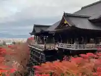 清水寺(京都府)